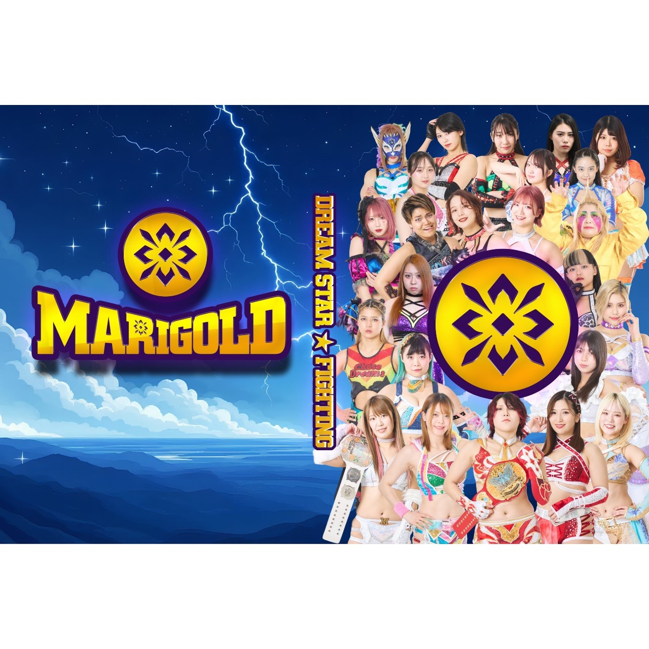 【再入荷】マリーゴールド ポートレート ファイル 第二弾