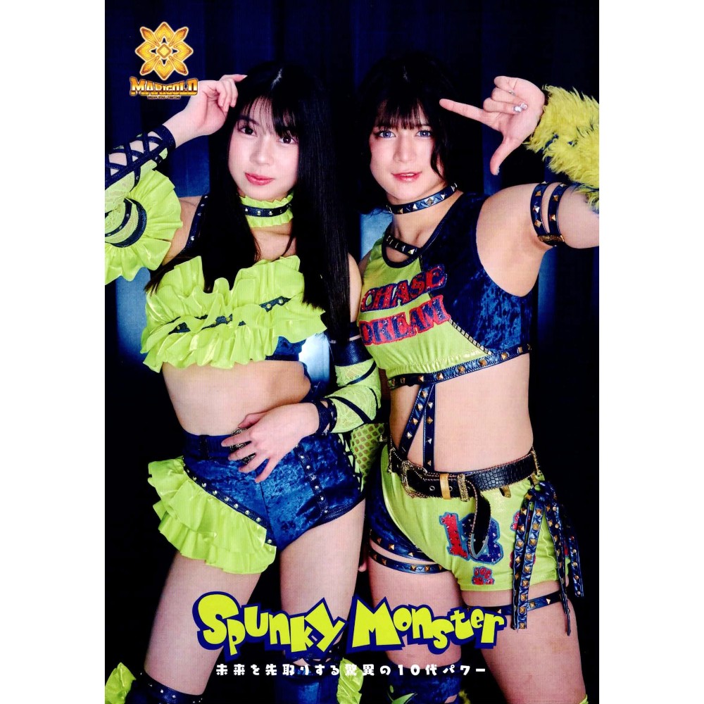 マリーゴールド MARIGOLD ガイドブック Vol.18