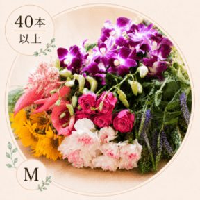 ���֤�ʡ��M������(40�ܰʾ�)�����ޤ������֤εͤ��碌���������б���