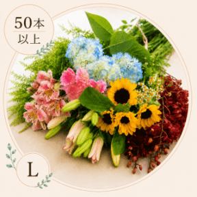 ���֤�ʡ��L������(50�ܰʾ�)�����ޤ������֤εͤ��碌���������б���
