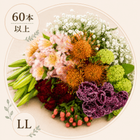 ���֤�ʡ��LL������(60�ܰʾ�)�����ޤ������֤εͤ��碌���������б���