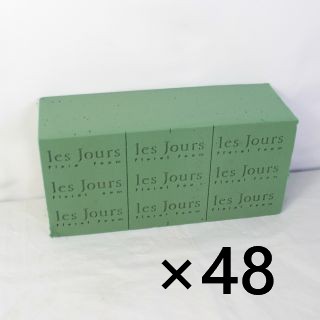 �ե������ե����ࡡ1Ȣ(48������)