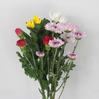 ʩ�֡������ܥ��åȡ����صƣ��ܡ����ץ졼��1�ܡ����ץ졼������1�ܡʾ������Ƥ��ѹ��ˤʤ뤳�Ȥ⤴�����ޤ���