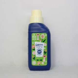 ��̿��(���ꥶ����)250����1��