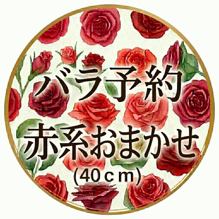 バラ一覧(花束加工も可能) | ビックフラワー