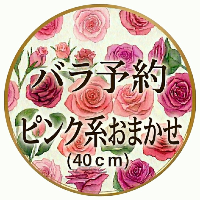 バラ予約 ピンク系 (規格：40cmサイズ)・10本 【着日6日後以降