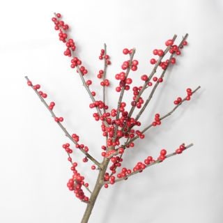 �������ȥ�åȡ���ʪ�������󥿡��٥꡼���񻺡ʵ��ʡ�����������������������ˡ������֡���