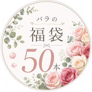 �ڿ��̸���ۥХ��ʡ��(��«�ù��Բ�)���������प�ޤ�����(���ʡ�������5�����������)���󣵣��ܡ�