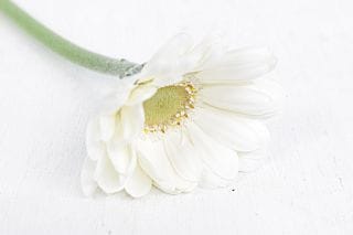 �������٥顡�񻺡ʵ��ʡ������̥������ˡ��������򡡥ץ��ޤ��������ޤȤ�䡡�оݾ��ʢ�