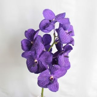 �����ǽ���������Х�������ѻ��ʵ��ʡ������إ������ˡ������ġ��֥롼�����ޤȤ�䡡�оݾ��ʢ�