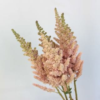 ����������١����˥����ʵ��ʡ���������������ˡ������ܥԥ󥯡��ӥ���󥤥�ե���Ρ����ޤȤ�䡡�оݾ��ʢ�