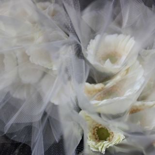 �������Ͳ������ޤ����������٥顡�񻺡ʵ��ʡ��̥������ˡ������ܡ���Ϥ��ޤ��������ޤȤ�䡡�оݾ��ʢ�