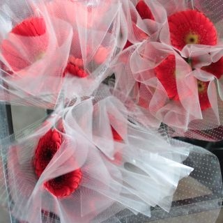 �������Ͳ������ޤ����������٥顡�񻺡ʵ��ʡ��̥������ˡ������ܡ��ַϤ��ޤ��������ޤȤ�䡡�оݾ��ʢ�