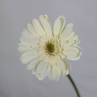 ����������䢡�����٥顡�񻺡ʵ��ʡ����̥������ˡ��������򡡣ơ������ɥͥ����������ޤȤ�䡡�оݾ��ʢ�