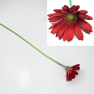 �������٥顡�񻺡ʵ��ʡ������̥������ˡ��������֡����祤�������ޤȤ�䡡�оݾ��ʢ�