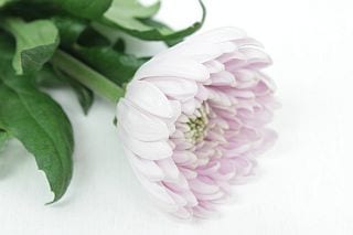 ���εơ��ޥ졼�������ʵ��ʡ�������̵���ˡ������ܥԥ󥯡��������Ρ����ޤȤ�䡡�оݾ��ʢ�