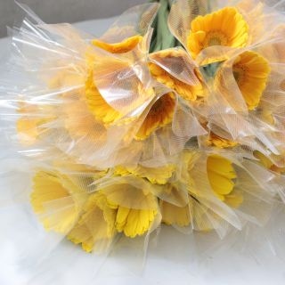 �������Ͳ������ޤ����������٥顡�񻺡ʵ��ʡ�L�����̥������ˡ������ܡ������Ϥ��ޤ��������ޤȤ�䡡�оݾ��ʢ�