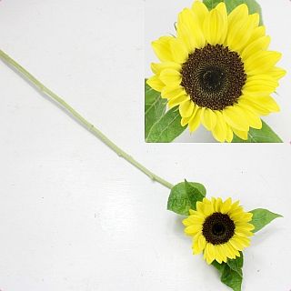 ���ҥޥ�ꡡ�񻺡ʵ��ʡ����̥������ˡ������ܡ������å�����(�ַ�6��9cm)�����ޤȤ�䡡�оݾ��ʢ�