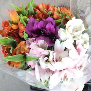 �������쥯���ʡ����륹�ȥ���ꥢ���񻺡ʵ��ʡ��å������ˡ������ܡ����륹�ȥ���ꥢ