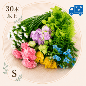 �ڥ������ءۤ��֤�ʡ��S������(30�ܰʾ�)�����ޤ������֤εͤ��碌���������б���