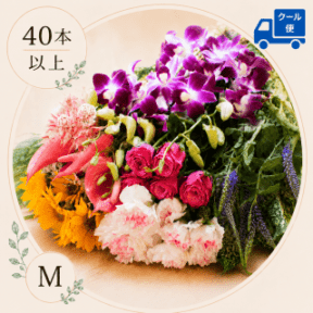 �ڥ������ءۤ��֤�ʡ��M������(40�ܰʾ�)�����ޤ������֤εͤ��碌���������б���
