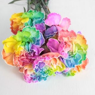 ��������䢡�����͡�����󡡥�����ӥ����������ܡʵ��ʡ���������������ˡ������ˡ����ޤȤ�䡡�оݾ��ʢ�