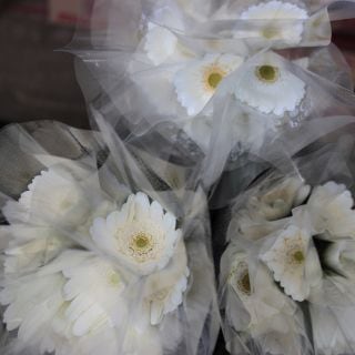 �������٥顡�񻺡������ܡʵ��ʡ����̡��̥������ˡ���Ϥ��ޤ��������ޤȤ�䡡�оݾ��ʢ�