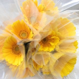 �������Ͳ������ޤ����������٥顡�񻺡������ܡʵ��ʡ����̡��̥������ˡ������Ϥ��ޤ��������ޤȤ�䡡�оݾ��ʢ�
