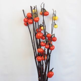 ○○夜間販売○ハナナス 国産・10本（規格：秀60cm2輪サイズ