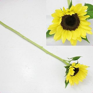 ○ヒマワリ　国産（規格：９０ｃｍサイズ）・１０本黄色　サマーサンリッチパイン４５　※まとめ割　対象商品※|その他の花|まとめ割　対象商品（5〜9束で5％引き・10〜19束で10％引き・20束以上で20