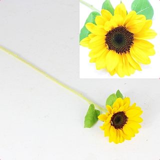 ○ヒマワリ　国産（規格：秀２Ｌ７５サイズ）・１０本オレンジ　ＵＰＳオレンジ　※まとめ割　対象商品※|その他の花|まとめ割　対象商品（5〜9束で5％引き・10〜19束で10％引き・20束以上で20％引き