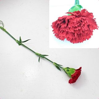 ◇☆お値下げしました☆カーネーション・輪　中国産（規格：６０ｃｍサイズ）・１０本赤　フォーチュネイト　※まとめ割　対象商品※|オールシーズン|まとめ割　対象商品（5〜9束で5％引き・10〜19束で10