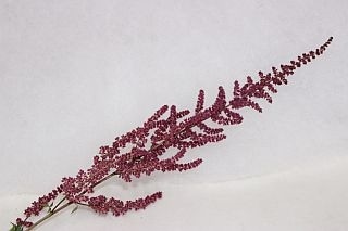 ◇アスチルベ　国産（規格：６０ｃｍサイズ）・１０本赤　　※まとめ割　対象商品※|その他の花|まとめ割　対象商品（5〜9束で5％引き・10〜19束で10％引き・20束以上で20％引き）