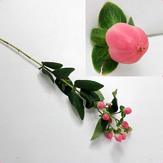 ◇ヒペリカム　エチオピア産（規格：５０ｃｍサイズ）・１０本ピンク　さくらロマンス　※まとめ割　対象商品※|その他の花|まとめ割　対象商品（5〜9束で5％引き・10〜19束で10％引き・20束以上で20