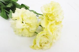 ○トルコキキョウ　国産（規格：８０ｃｍ秀サイズ）・１０本クリーム　ボヤージュイエロー　※まとめ割　対象商品※|オールシーズン|まとめ割　対象商品（5〜9束で5％引き・10〜19束で10％引き・20束以