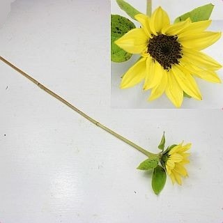 ○ヒマワリ　国産（規格：６０ｃｍサイズ）・１０本黄色　サンリッチパイン　※まとめ割　対象商品※