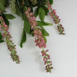 △枝物・アメリカリョウブ　国産（規格：９０ｃｍサイズ）・５本ピンク　ピンクスパイヤー　※まとめ割　対象商品※|ネイティブフラワー・枝物各種|まとめ割　対象商品（5〜9束で5％引き・10〜19束で10％