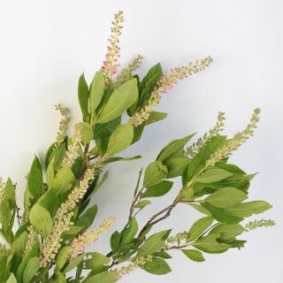 ◇☆最終セール☆枝物・アメリカリョウブ　国産（規格：９０ｃｍサイズ）・５本ピンク　ピンクスパイヤー　※まとめ割　対象商品※|ネイティブフラワー・枝物各種|まとめ割　対象商品（5〜9束で5％引き・10〜