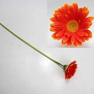 ○ガーベラ　１０本　国産（規格：秀Ａサイズ）オレンジ　Ｆ．オレンジケーキ　※まとめ割　対象商品※|オールシーズン|まとめ割　対象商品（5〜9束で5％引き・10〜19束で10％引き・20束以上で20％引