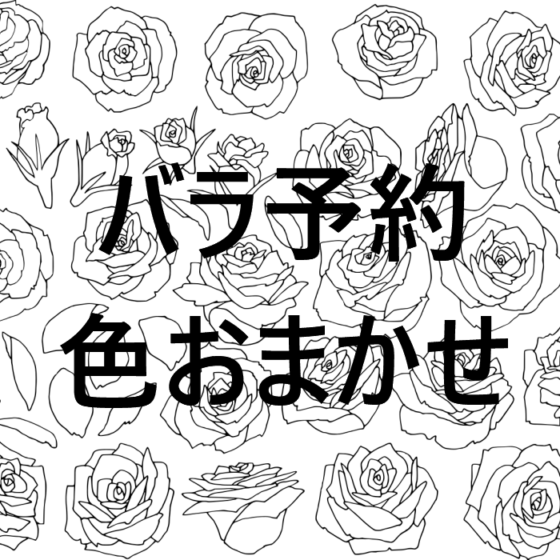 〓予約専用〓バラ1０本 色おまかせ４０cm〜 花束加工可|バラ(花束加工も可能)