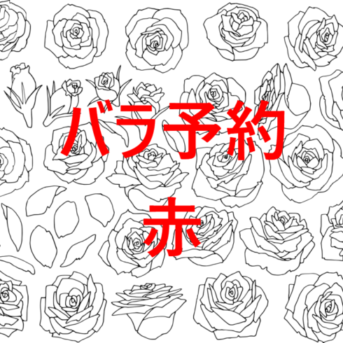 〓予約専用〓赤バラ 1０本 ４０cm〜 花束加工可|バラ(花束加工も可能)