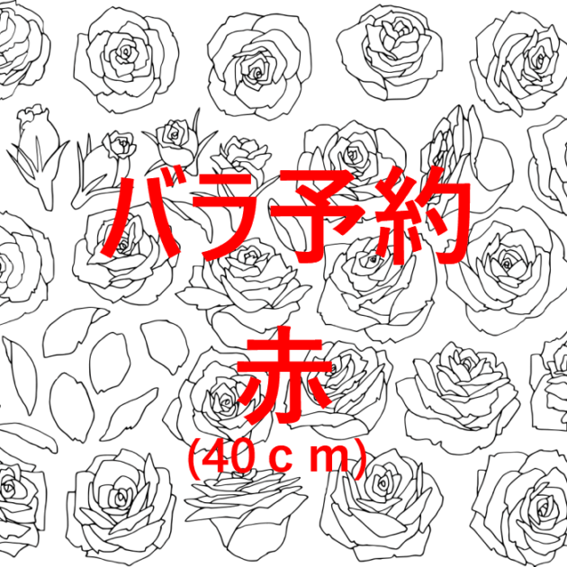 〓予約専用〓赤バラ 1０本 ４０cm〜 花束加工可