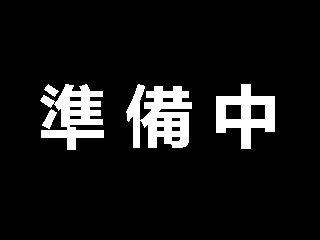 ○洋菊　１０本　ベトナム産（規格：ＥＸ７０ｃｍサイズ）白　トップスピン(スパイダー)　※まとめ割　対象商品※|菊類各種|まとめ割　対象商品（5〜9束で5％引き・10〜19束で10％引き・20束以上で2