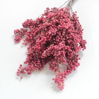 ○実物・ペッパーベリー　１束(約10本)　ペルー産　　※まとめ割　対象商品※|ネイティブフラワー・枝物各種|まとめ割　対象商品（5〜9束で5％引き・10〜19束で10％引き・20束以上で20％引き）