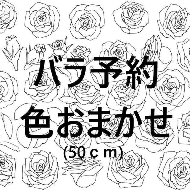 〓予約専用〓バラ1０本 色おまかせ５０cm〜 花束加工可|バラ(花束加工も可能)