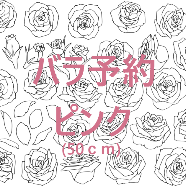 ¢®Í½ÌóÀìÍÑ¢®¥Ð¥é10ËÜ ¥Ô¥ó¥¯ 50cm¡Á¡Ú¤ªÆÏ¤±6Æü¸å°Ê¹ß¡¿²Ö«²Ã¹©²Ä¡Û