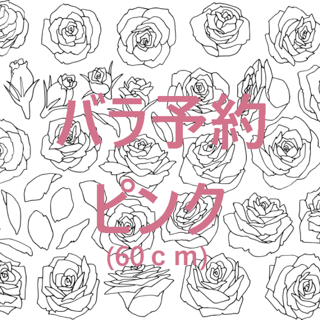 〓予約専用〓ピンクバラ 1０本 ６０cm〜 花束加工可|バラ(花束加工も可能)