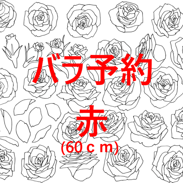 ͽѢХ10  60cmڤϤ6ʹߡ«ùġ