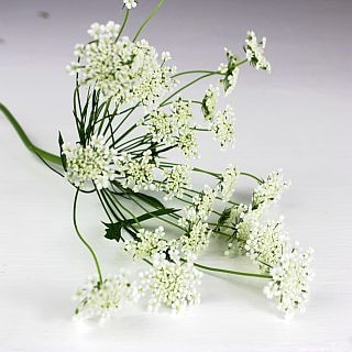 △☆最終セール☆レースフラワー　・１０本　国産（規格：４０ｃｍサイズ）白　ホワイトレースフラワー　※まとめ割　対象商品※