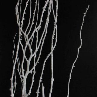 ʪ奦ʥܡ񻺡ʵʡ˶䡡աޤȤ䡡оݾʢ